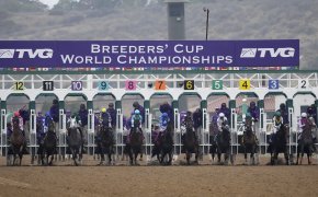 Horses running in the Breeders’ Cup Juvenile race